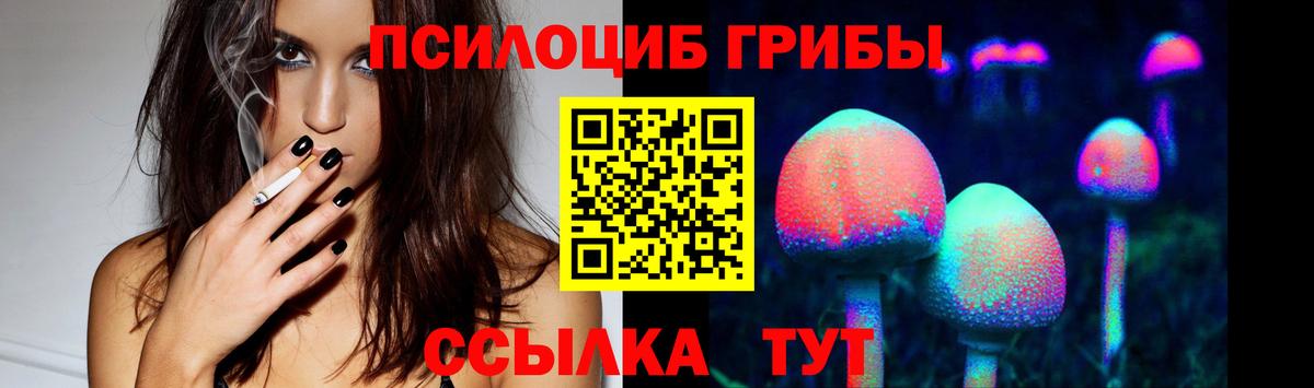 Верхняя Пышма  Псилоцибиновые грибы ЛСД  закладка  Вход с VPN 